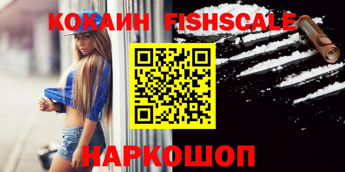 наркошоп  Вход с VPN  Заводоуковск  КОКАИН Fish Scale  Cocaine 