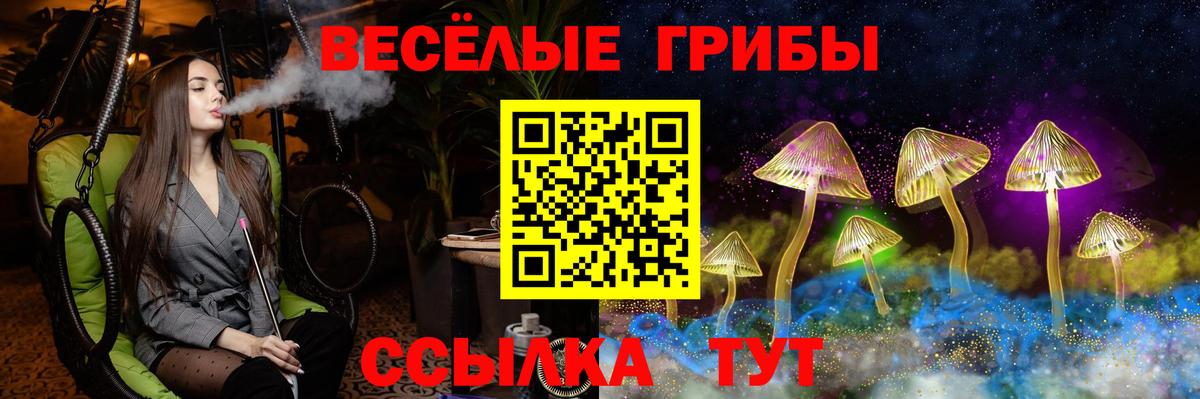 Галлюциногенные грибы GOLDEN TEACHER Заводоуковск