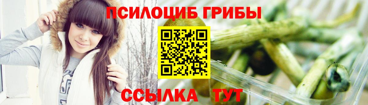 Псилоцибиновые грибы мухоморы  Галлюциногенные грибы прущие грибы  Заводоуковск  Вход с VPN 