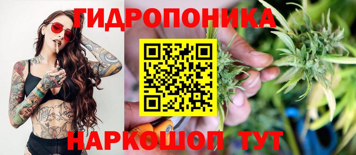 Конопля индика Заводоуковск